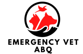 Emergency-Vet-ABQ